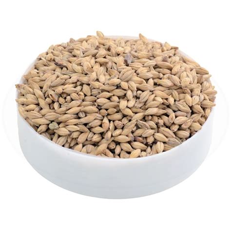 durst malt